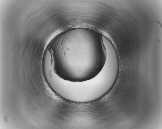 X0000099381138200805291123