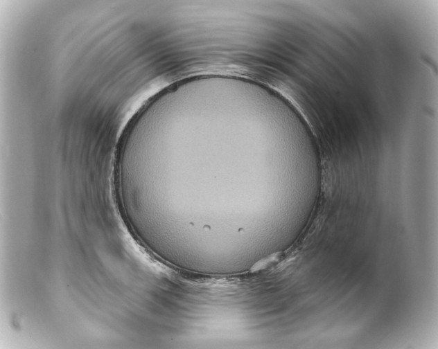 X0000099381139200805291123