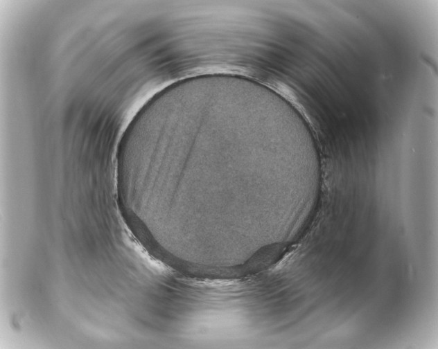 X0000099381140200805291123