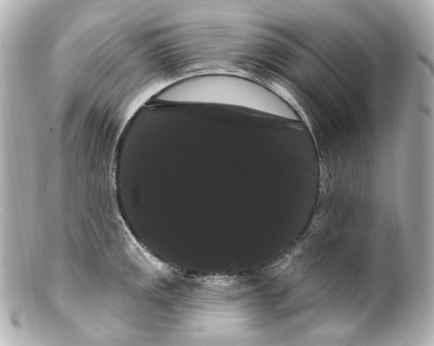 X0000099381141200805291123