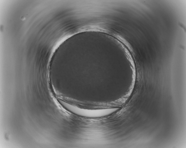 X0000099381144200805291123