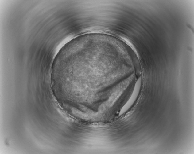 X0000099381146200805291123