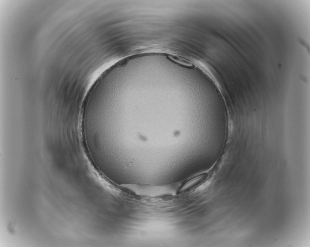 X0000099381149200805291123