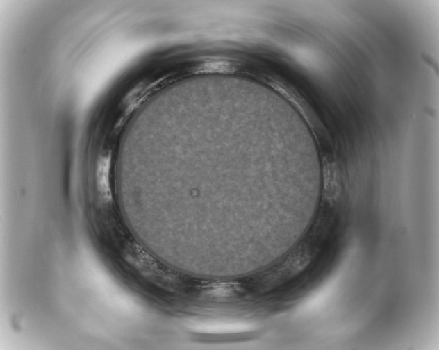 X0000099381150200805291123