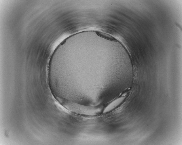 X0000099381151200805291123