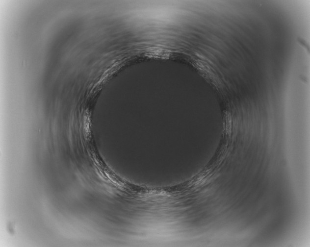 X0000099381154200805291122