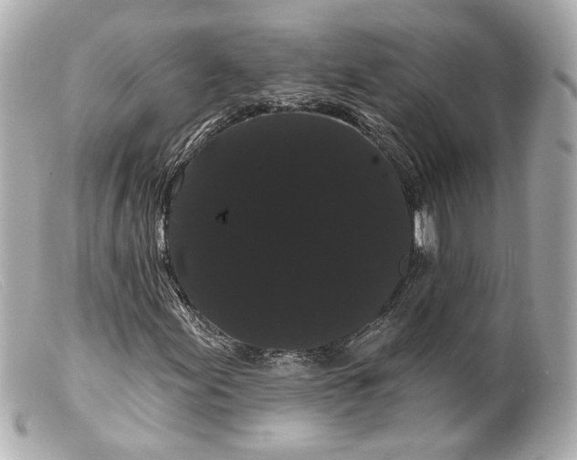 X0000099381155200805291122