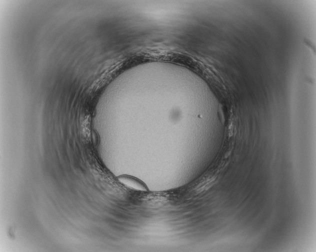 X0000099381156200805291122