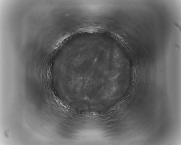 X0000099381158200805291122