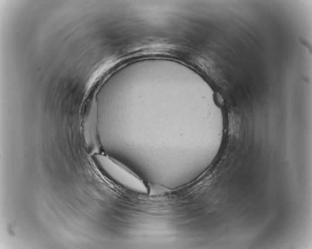 X0000099381164200805291122