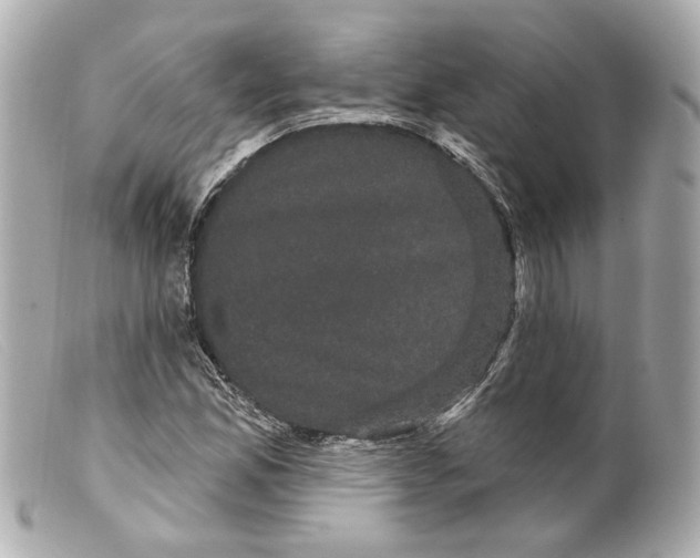 X0000099381165200805291122