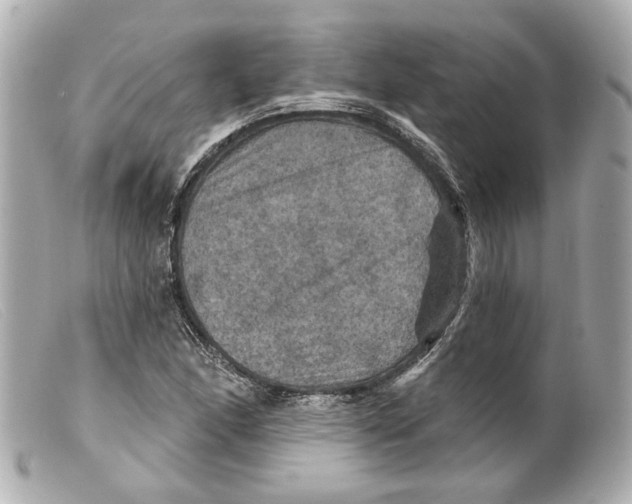 X0000099381166200805291122