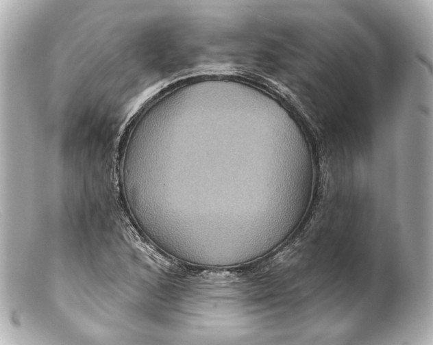 X0000099381168200805291122