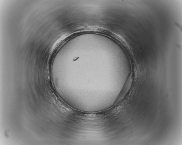 X0000099381172200805291122