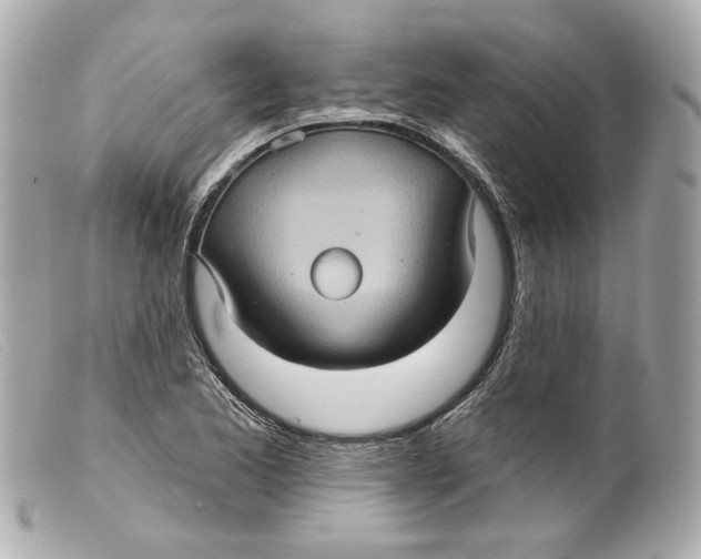 X0000099381173200805291122