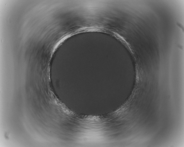 X0000099381174200805291122