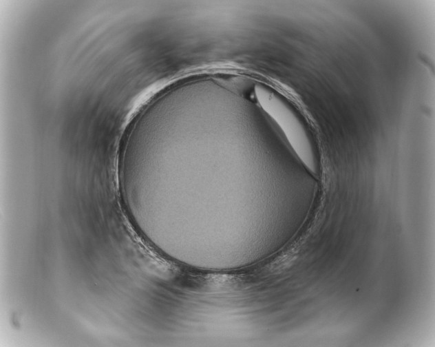 X0000099381176200805291122