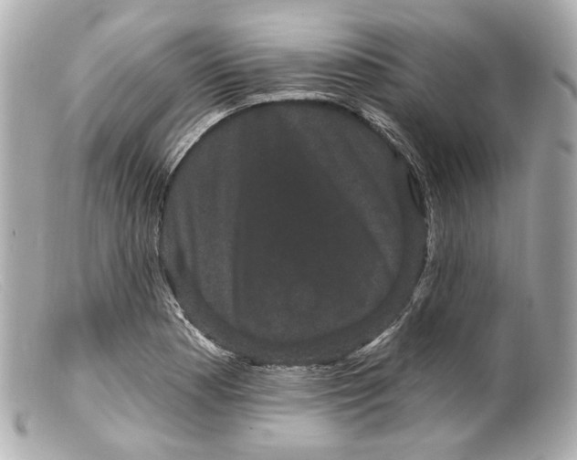 X0000099381177200805291122