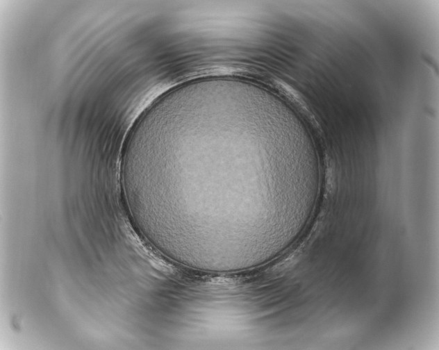 X0000099381178200805291122