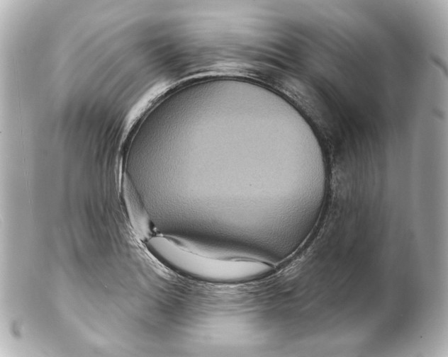 X0000099381180200805291122