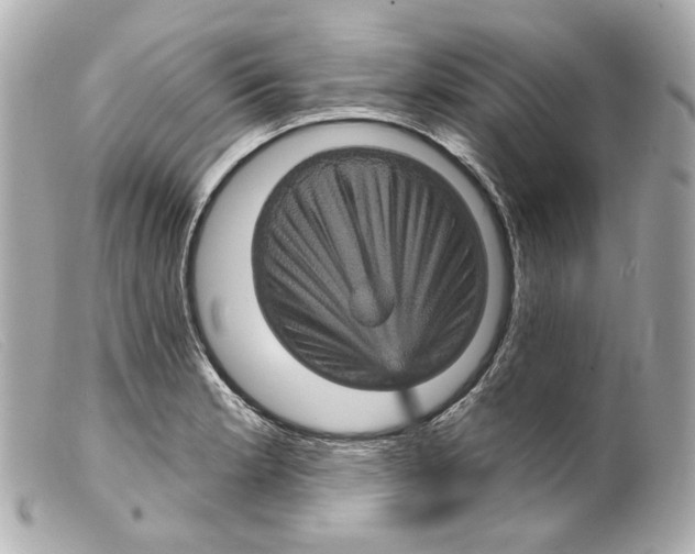 X0000099381181200805291122