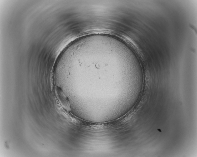 X0000099381182200805291122