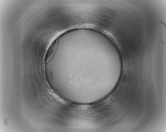 X0000099381184200805291122