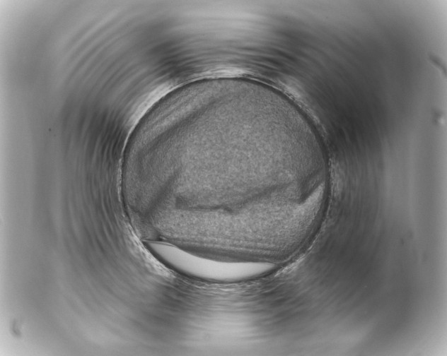 X0000099381186200805291122