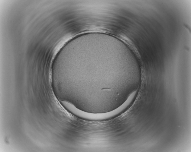 X0000099381188200805291122