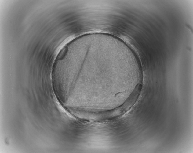 X0000099381189200805291122