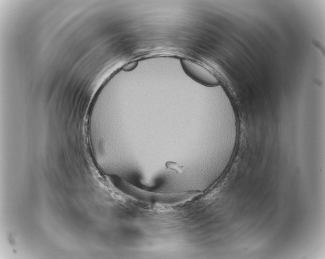 X0000099381190200805291122