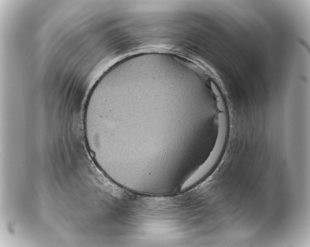 X0000099381192200805291122