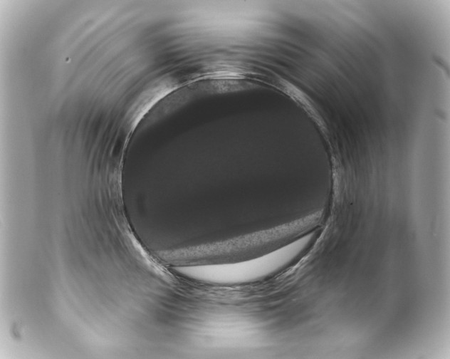 X0000099381194200805291122