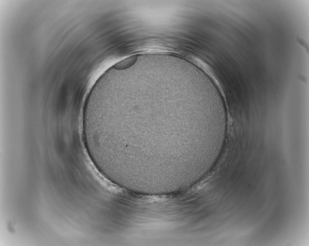 X0000099381195200805291122