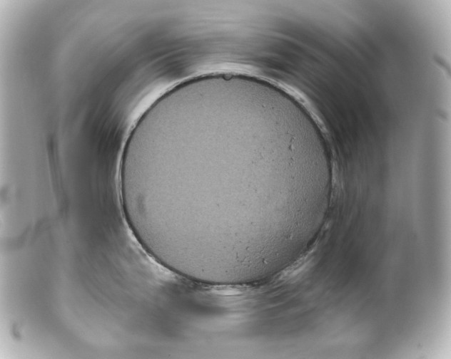 X0000099381199200805291122