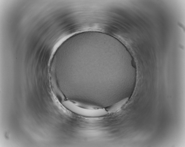 X0000099381200200805291122