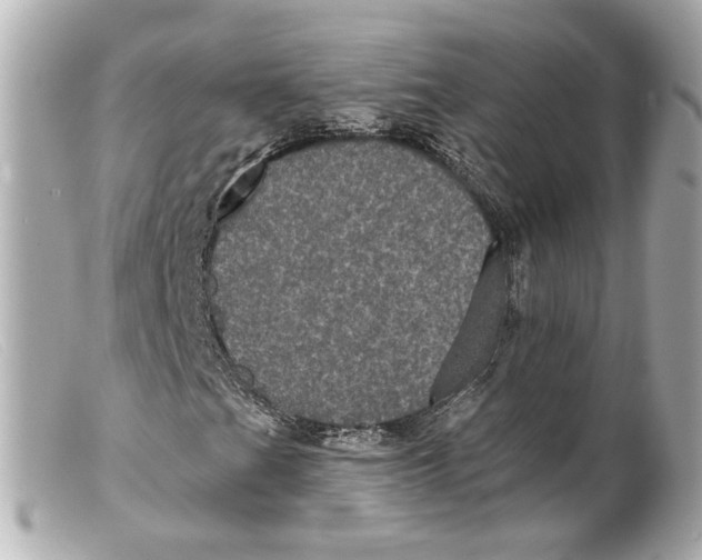 X0000099381201200805291121