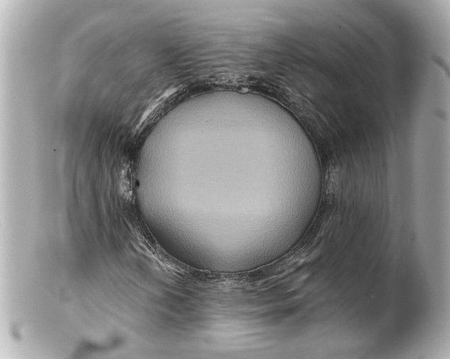 X0000099381202200805291121