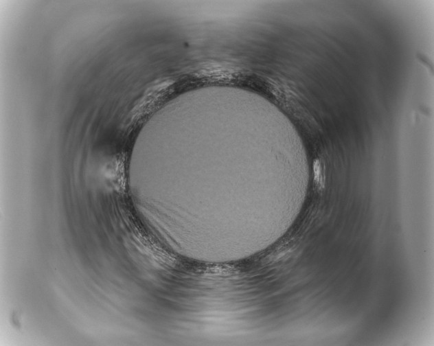 X0000099381203200805291121