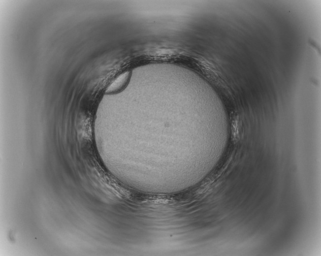 X0000099381204200805291121