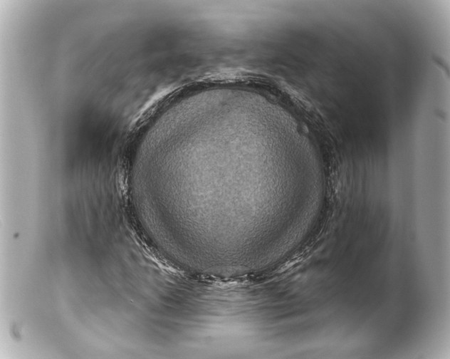 X0000099381206200805291121