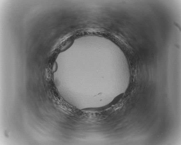 X0000099381207200805291121