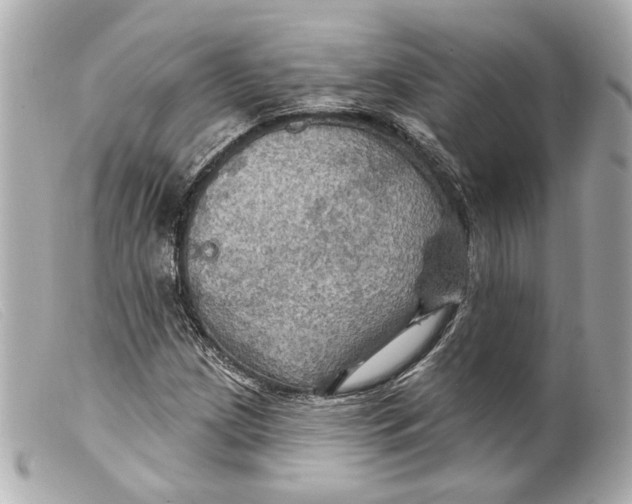 X0000099381209200805291121