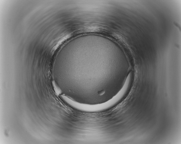 X0000099381210200805291121