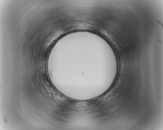 X0000099381211200805291121