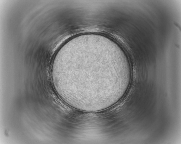 X0000099381212200805291121