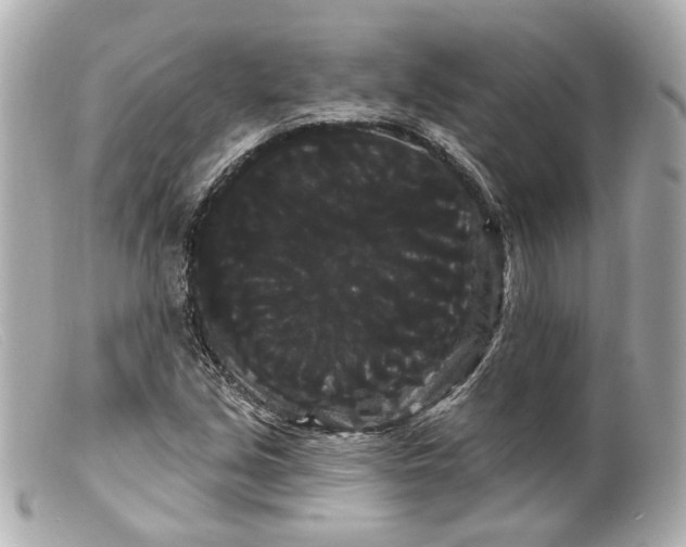 X0000099381213200805291121