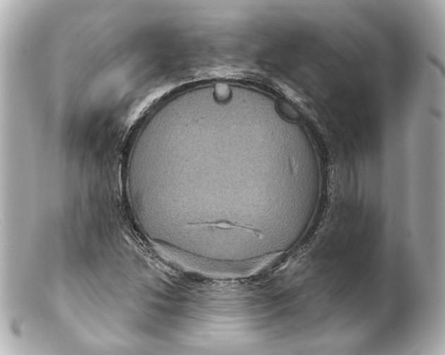 X0000099381214200805291121