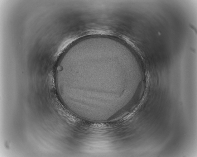 X0000099381215200805291121