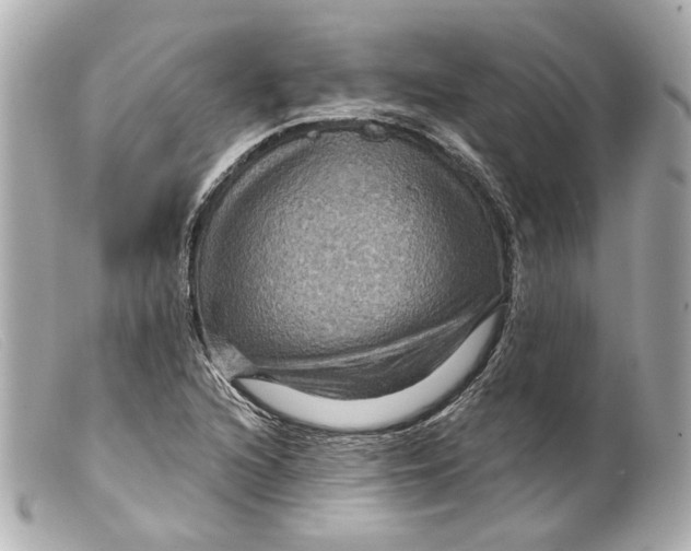 X0000099381216200805291121